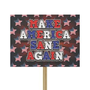 Protest Sign. "MAKE AMERICA SANE AGAIN"